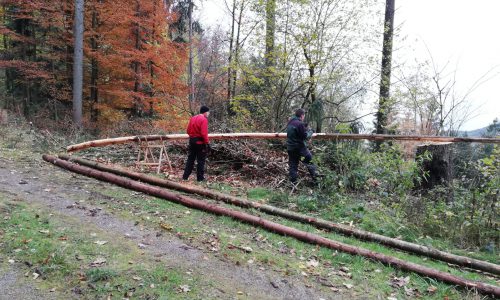 Holzstangen holen 2019