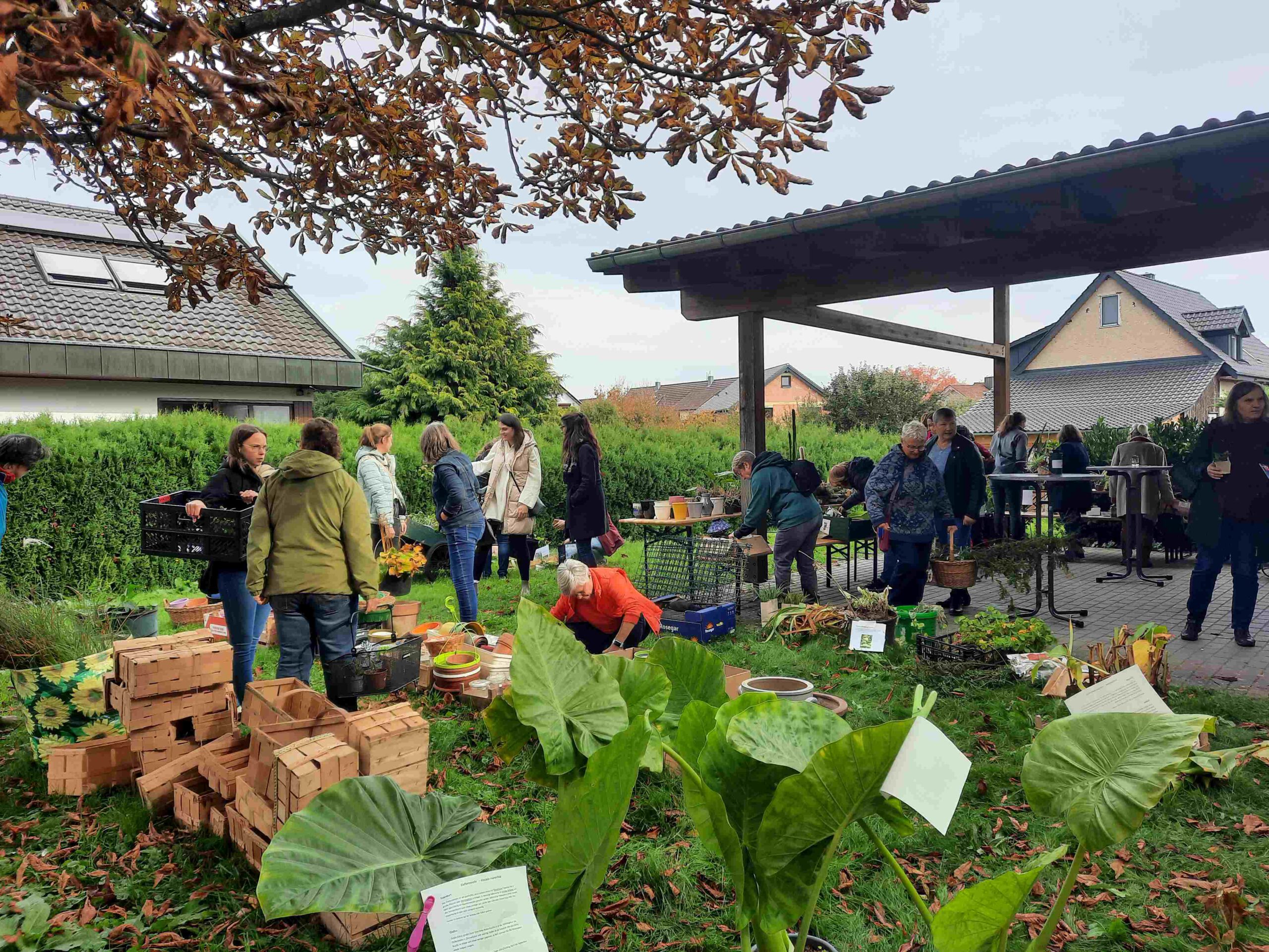 Rückblick Pflanzentauschtag 