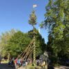 Rückblick Maibaumstellen 2026