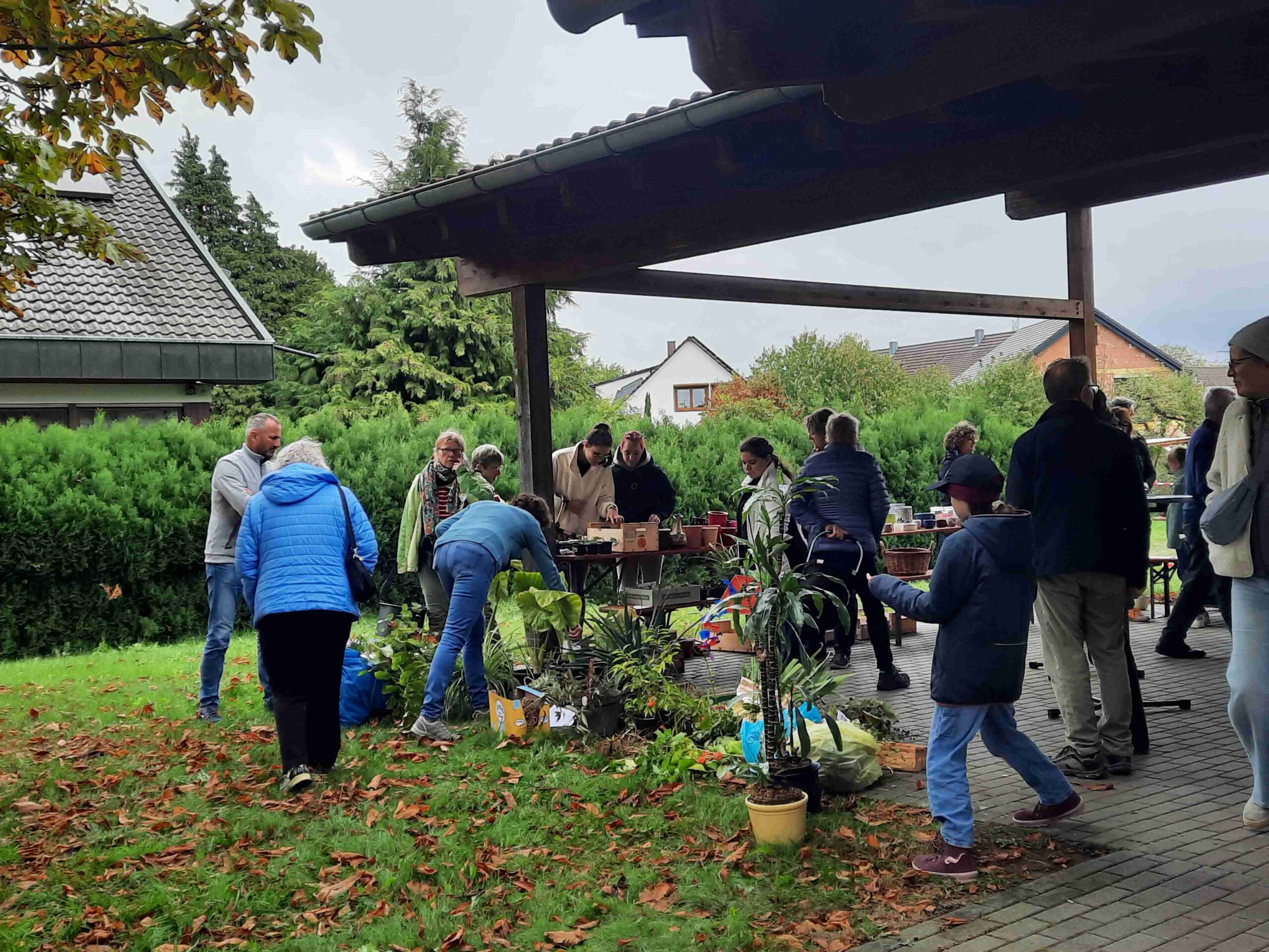 Rückblick zum Pflanzentauschtag am 18. Oktober 2026